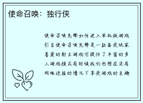 使命召唤：独行侠